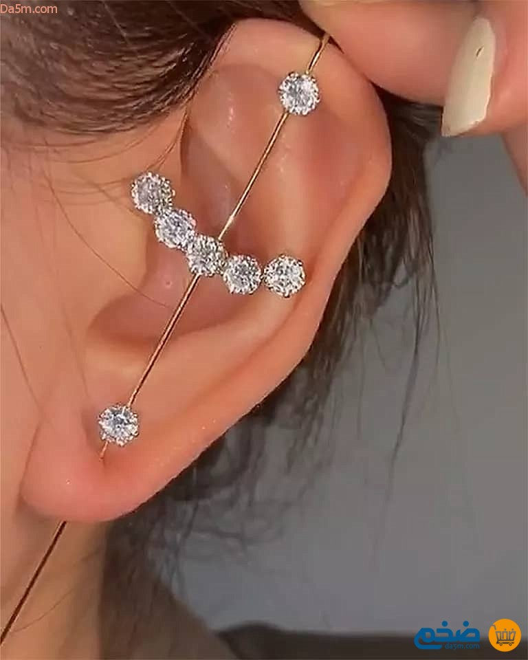 Beautiful stick earrings